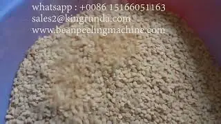 S18 Black eye bean peeling machine/Black eye bean skin removing/Black eye bean peeler/dehuller