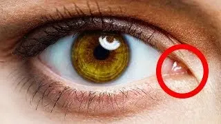 17 Facts About the Human Body That Will Send Chills Down Your Spine