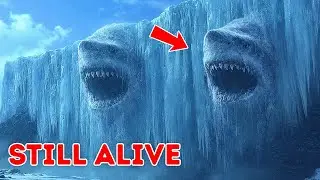 Melting Ice in Alaska Reveals Creatures That May Still Be Alive
