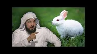 لن تصدق لماذا لم يأكل الرسول لحم الارنب طوال حياته