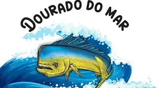 Dourado do mar, informa&ccedil;&otilde;es da esp&eacute;cie e dicas de pesca.