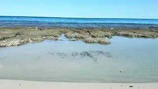 Peaceful Ocean Walk 🌊 Soothing Music & Waves Relax #nature #ocean #stressrelief #relaxingmusic #4k 