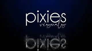 VJ Vivek Saab to Pixies Visuals.