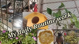 My 4th vlog Ajj sub plants ko showers kiya ll Marina vlog
