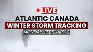 LIVE TRACKING: Groundhog Day Predictions Amid a Nor'Easter Striking Atlantic Canada