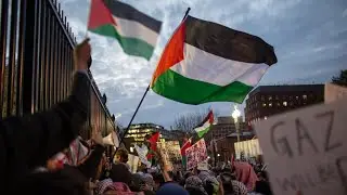 Activist group Teachers for Palestine to flout Chris Minns’ restrictions