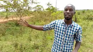 Land For Rent | 6 Acres Available On Flexible Terms