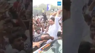 #ysjagan #ysrcp #ysjagangunturtour | #ysjaganmohanreddy #ysrcpleaders #sakshitvshorts #ytshorts