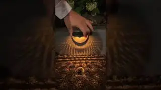 Solar Camping & Home Decor Lights: The Future of Sustainable Illumination