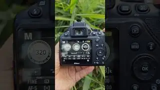 Чёткое фото. Размытие фона в ручном режиме 🔥📸 Цифровая зеркальная камера для начинающих #шорты