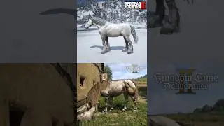 RDR2 vs KCD2 - Physics Comparison🎯