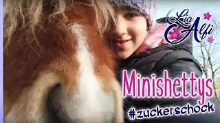 Lia & Alfi - mega FMA mit Minishettys und unser Zusatzfutter