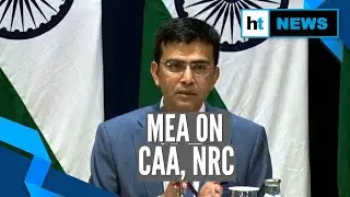 &lsquo;Most countries accept CAA, NRC to be India&rsquo;s internal matter&rsquo;: MEA