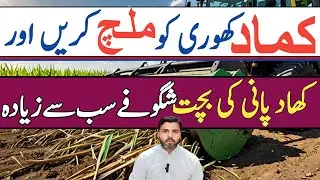SUGARCANE Farmers Must See This Rotavator Machine Technology! | Farming Expert 786