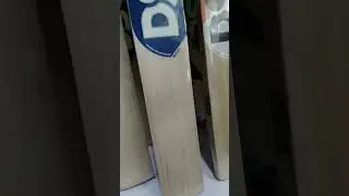 DSC Blue 300 English Willow bat | Bearfitz Sport, New Kondali, Delhi 96  #viral #shorts #cricket