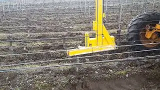 Vineyard vine removal