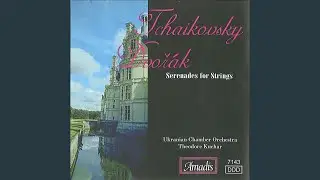 V. Finale: Allegro vivace