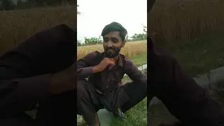 #HDTIKTOK #for #comedy #funny #layyah @Arslanfunny