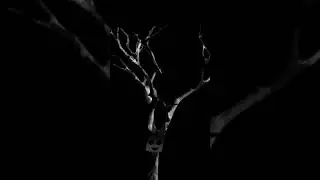 Mr. Tree Sprunkalicious 1996 #sprunkalicious #mrtree