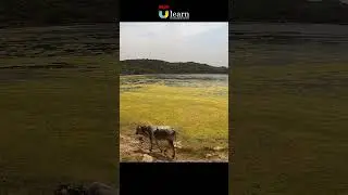 Discover Pakistan&rsquo;s Hidden Gem &ndash; The Majestic Sakesar Mountain