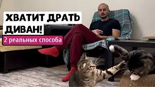 КОТЫ ДЕРУТ МЕБЕЛЬ? 2 рабочих способа отучить котика царапать диван и обои