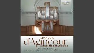 Pi&egrave;ces d'orgue, 6e ton: III. R&eacute;cit de nazard