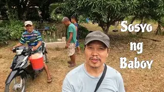 Susyo ng baboy/ Frontyard ni joe