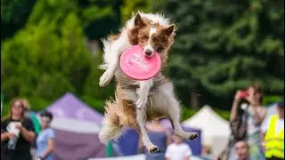 Zosia & Jimmy Jumpy Jumper throw&rsquo;n&rsquo;go debut | 16 ex aequo (10th score) / 180 teams | LP Poznań 2021