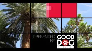 Good Dog Digital - CES 2015 - Intro