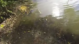 Vietnam River Roads POV | Peaceful Morning Motorbike Ride ASMR