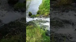 #ПрироданаЮтуб#NatureonYouTube#NaturalezaenYouTube#NaturesurYouTube#NaturezanoYouTube#AlamdiYouTube