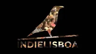 V&iacute;deo Balan&ccedil;o | IndieLisboa 2019
