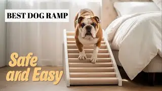 Best Dog Ramp for Beds (Pet Stairs Review)