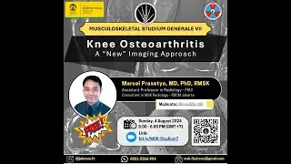 Knee Osteoarthritis: A 