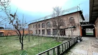 Tuzelda 