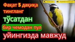 🔴ЭНГ КУЧЛИ РИЗҚ ДУОСИ БУ ДУОНИ ЎҚИНГ! КЎЗ ОЧИБ ЮМГУНЧА РИЗҚИНГИЗ КЕЛАДИ
