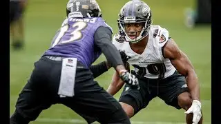 In Case You Were Away &hellip; the Ravens&rsquo; Offseason in 120 Seconds