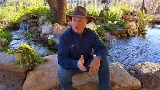 Does a pond or water feature affect my Phoenix property value?