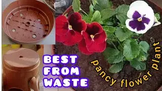 Toote stool se banaya pot !!!✨ ✨✨ !! best from waste !!
