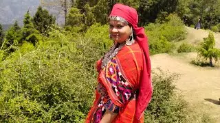 Shimla Aakar Ye Bhul Kabhi Na Kare #greenvalleys #shimla#kufri#mountains #travel #tranding#vlogs