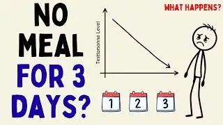 What Happens to Testosterone If You Eat Nothing for 3 Days (Science Explained)