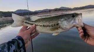 Shore Fishing for Bass at SB Cove (Bartlett Lake)