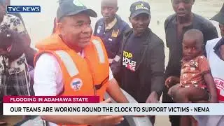 Early Morning Rainstorm Triggers Widespread Destruction In Adamawa State