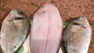 BU AKŞAM DİL BALIĞI VE LİDAKİ PİŞİRİYORUZ. Muhabbete bekleriz. Kandiliniz Mübarek olsun.