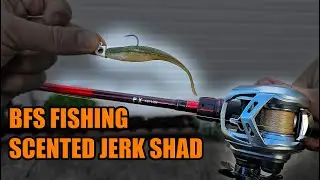 BFS Fishing Z-Man Scented Jerk ShadZ on a Jig!