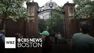 President Trump says he's reached $500 million deal with Harvard to forgive university's 