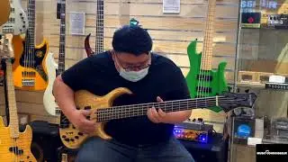 Sire M5 Marcus Miller Bass Guitar Demo