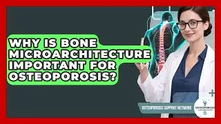 Why Is Bone Microarchitecture Important For Osteoporosis? - Osteoporosis Support Network