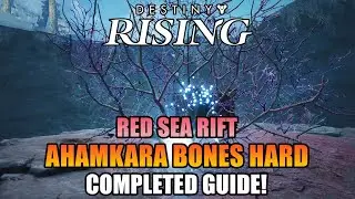 ALL 8 Ahamkara Bones (Hard) Completed Guide! Red Sea Rift! - Destiny: Rising