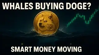 Dogecoin News Today: Whale Accumulation, Price Drop & What&rsquo;s Next for DOGE